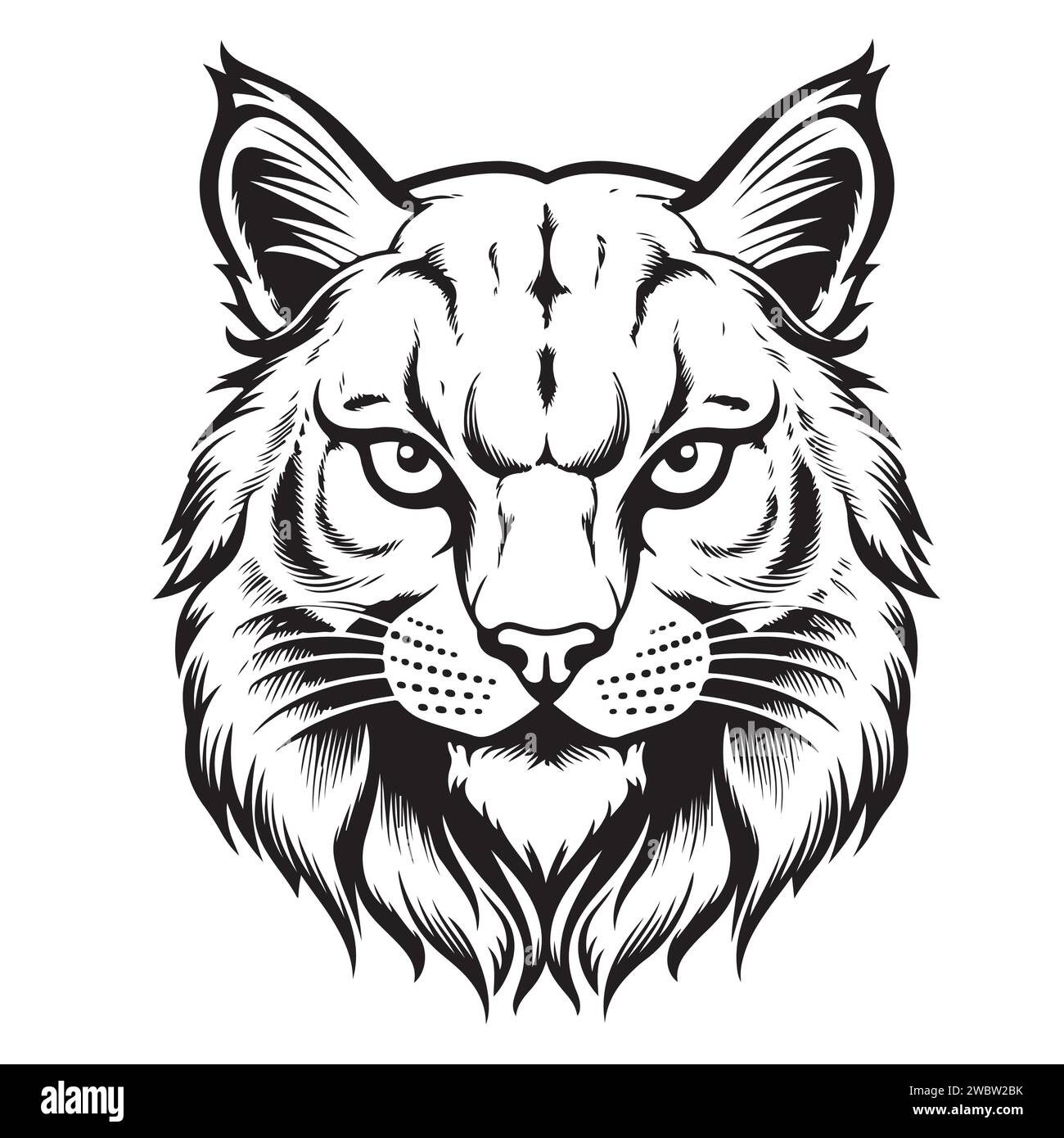 Lynx. Skizzieren, gezeichnet, grafisches Porträt eines Luchskopfes auf weißem Hintergrund Stock Vektor