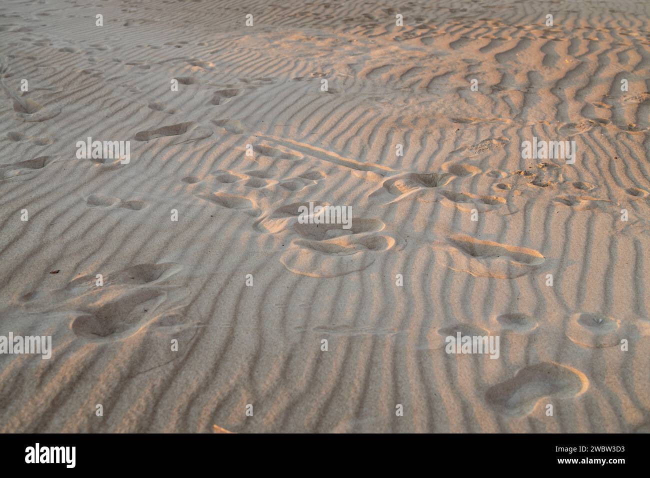 Textur, die Oberfläche einer leichten Sanddüne, bedeckt mit kleinen Wellen der Wellen. Eine Kontrastspur der vertikal verlaufenden menschlichen Schritte. Stockfoto