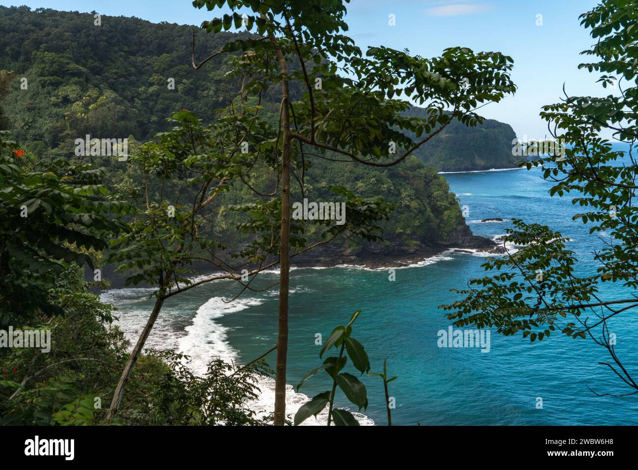 Faszinierende Küstenklippen säumen die Route nach Hana, Maui, mit atemberaubendem Blick auf den Pazifik inmitten lebendiger tropischer Vegetation. Stockfoto