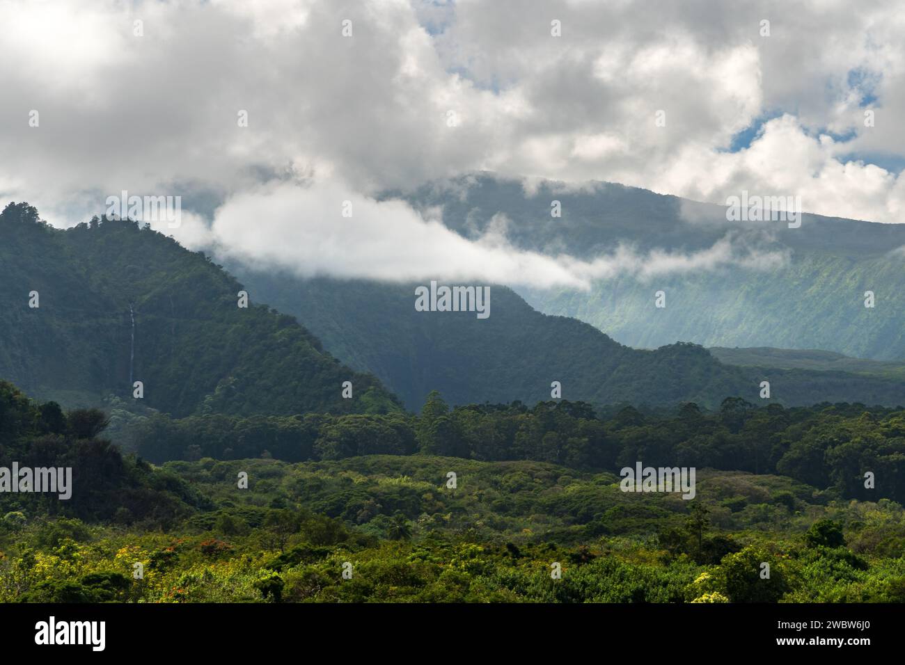 Rätselhafte Wolken zieren die Berggipfel von Maui und zeigen die dynamische Landschaft der Insel und den reichen tropischen Regenwald. Stockfoto