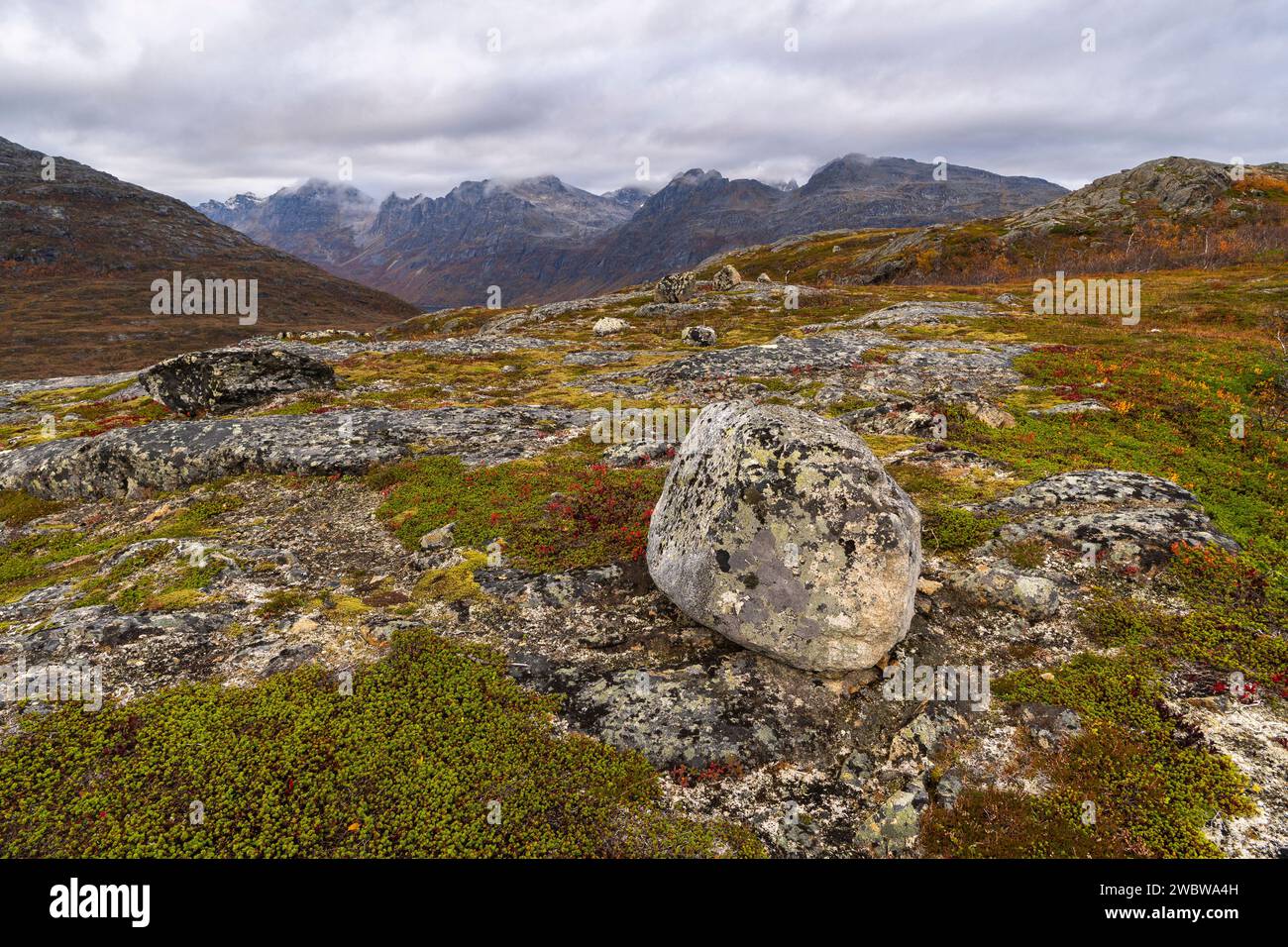 Einzelner Stein, Felsbrocken, abgerundeter Gletscherstein auf der Insel Kvaløya in Troms, Norwegen. Tiefe Gletschertäler mit herbstbunten Bäumen und felsigem Gipfel Stockfoto