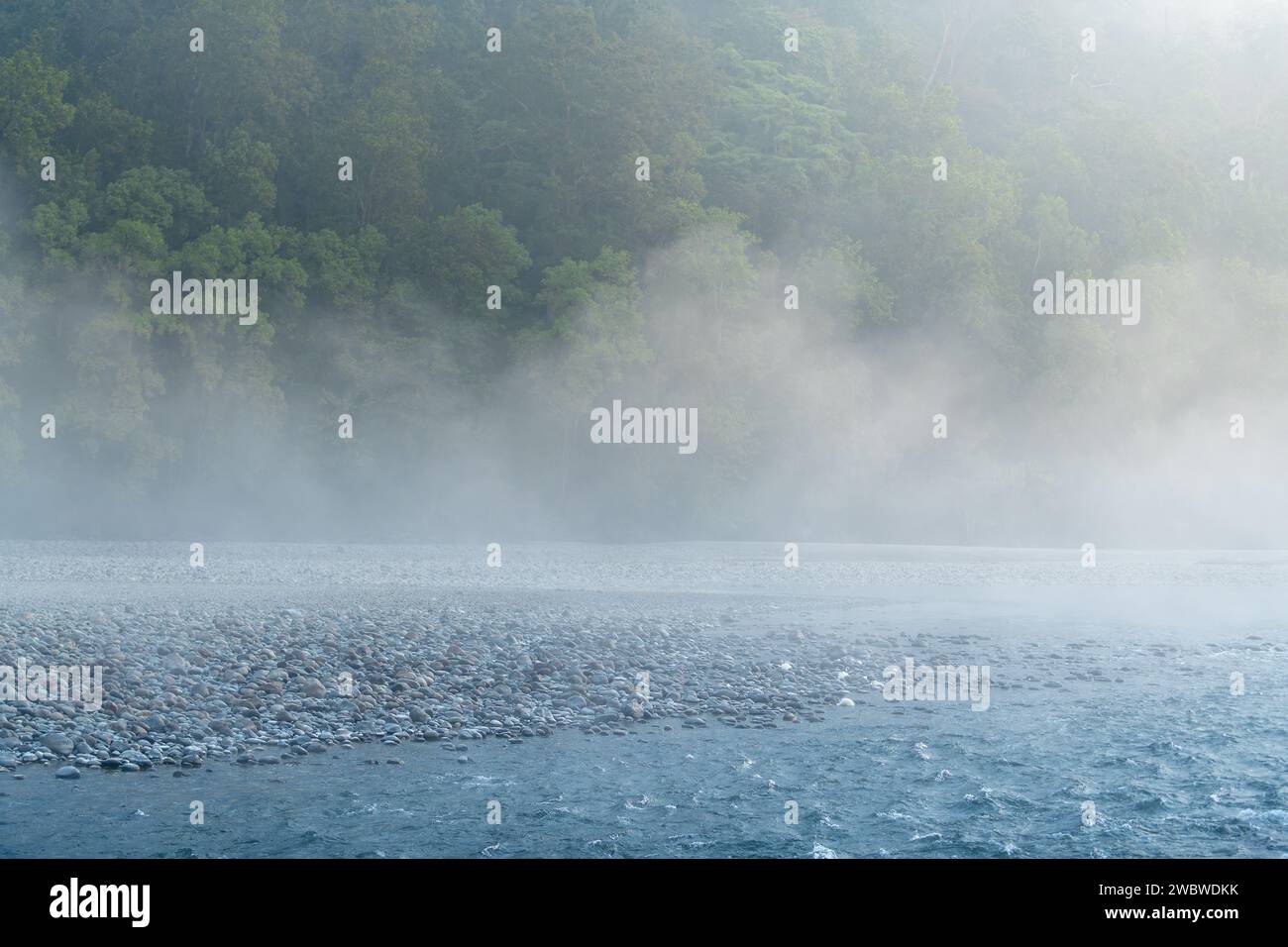 Das Ramganga River lag an einem nebeligen Wintermorgen im Jim Corbett National Park in Uttarakhand, Indien Stockfoto