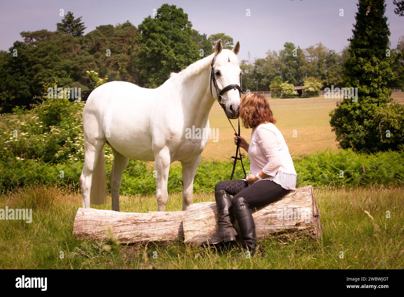 Pferd und Reiter Stockfoto