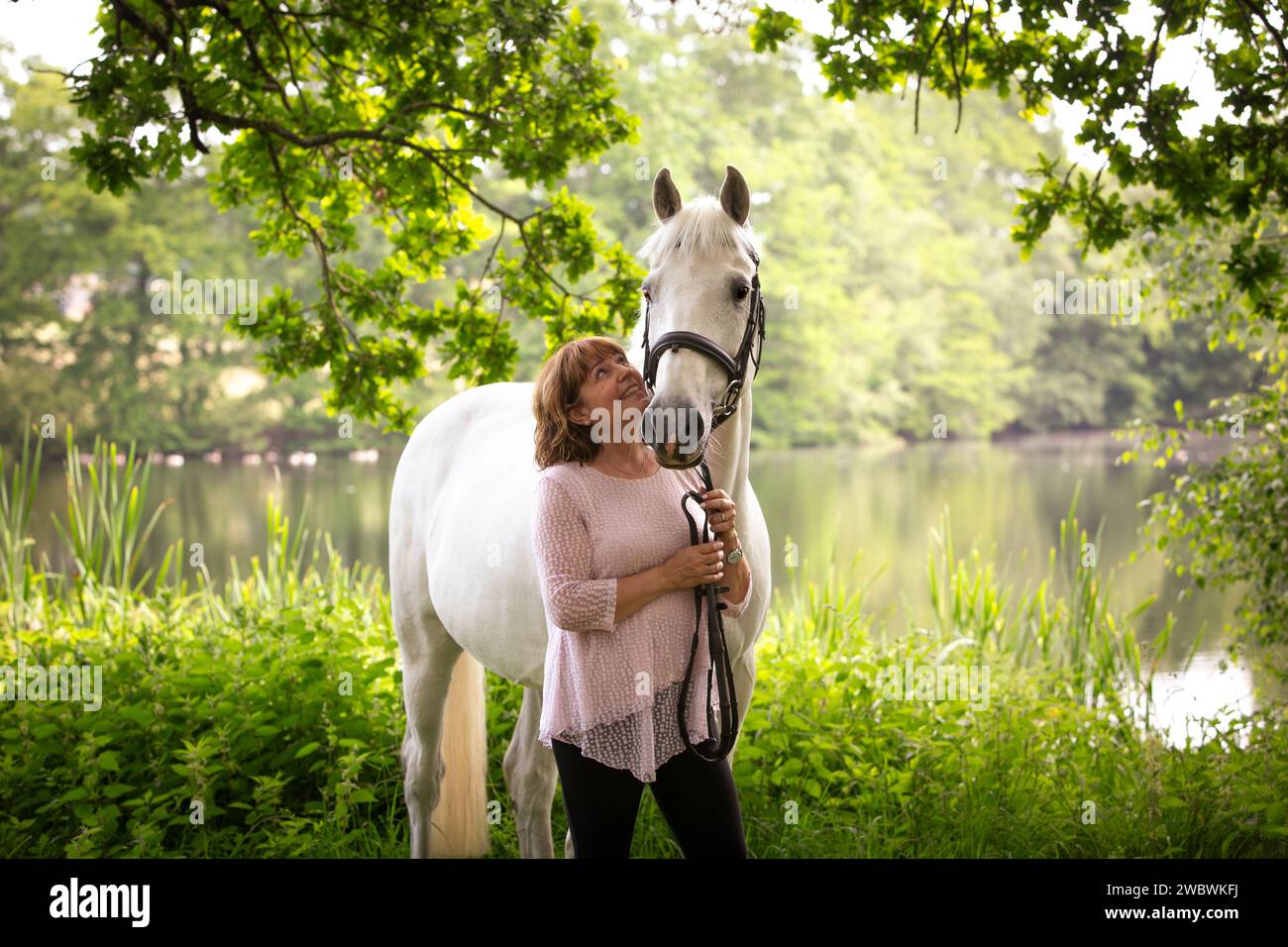 Pferd und Reiter Stockfoto