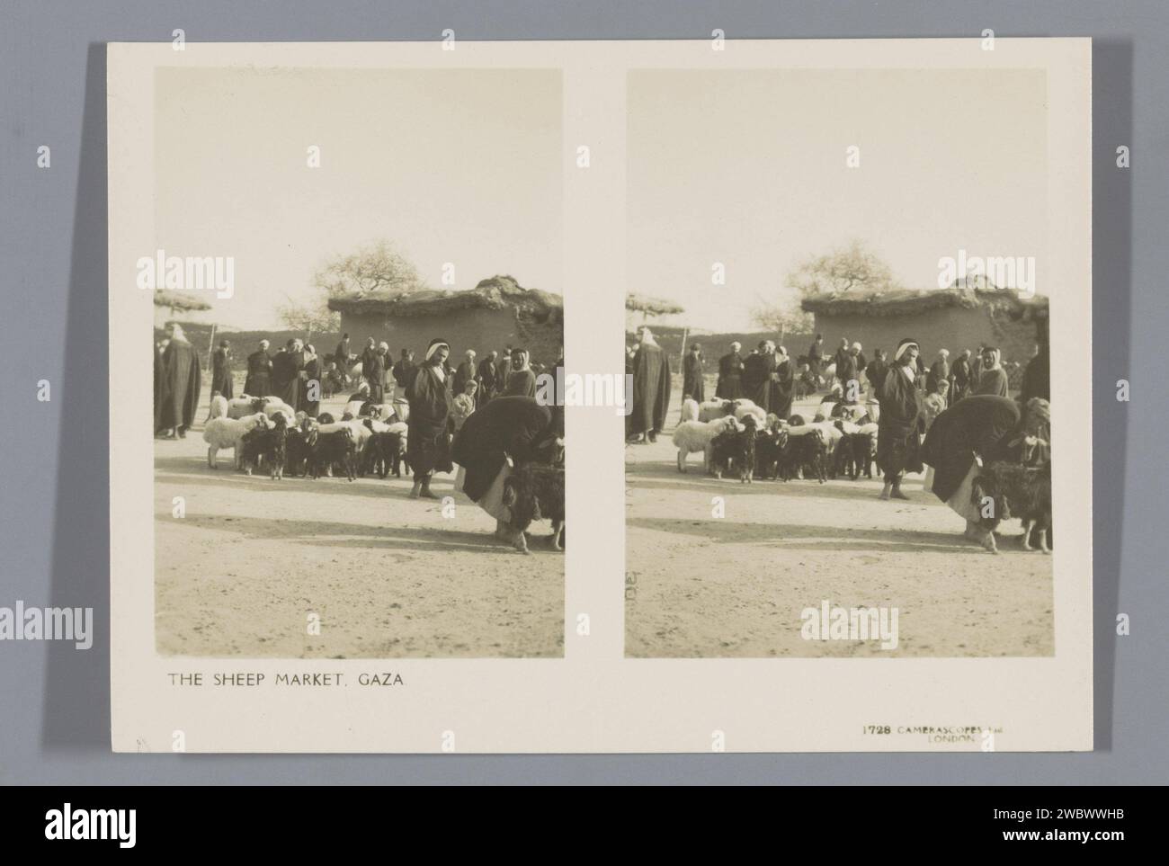 Schafmarkt in Gaza, Richard St. Barbe Baker, 1929 Stereograph Series über die Ausgrabungen der britischen Archäologen Gerald Harding und Flinders Petrie in Tell Fara im damaligen britischen Mandatsgebiet Palästina. Gazastrookpublisher: London Publisher: Birmingham baryta Papier Gelatine Silberdruck Schaf. Markt Gazastreifen Stockfoto