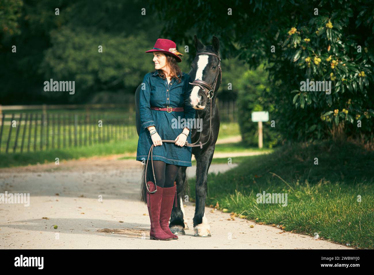 Pferd und Besitzer Stockfoto