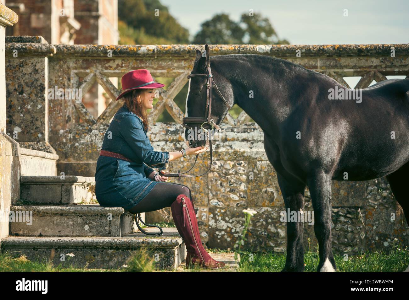 Pferd und Besitzer Stockfoto