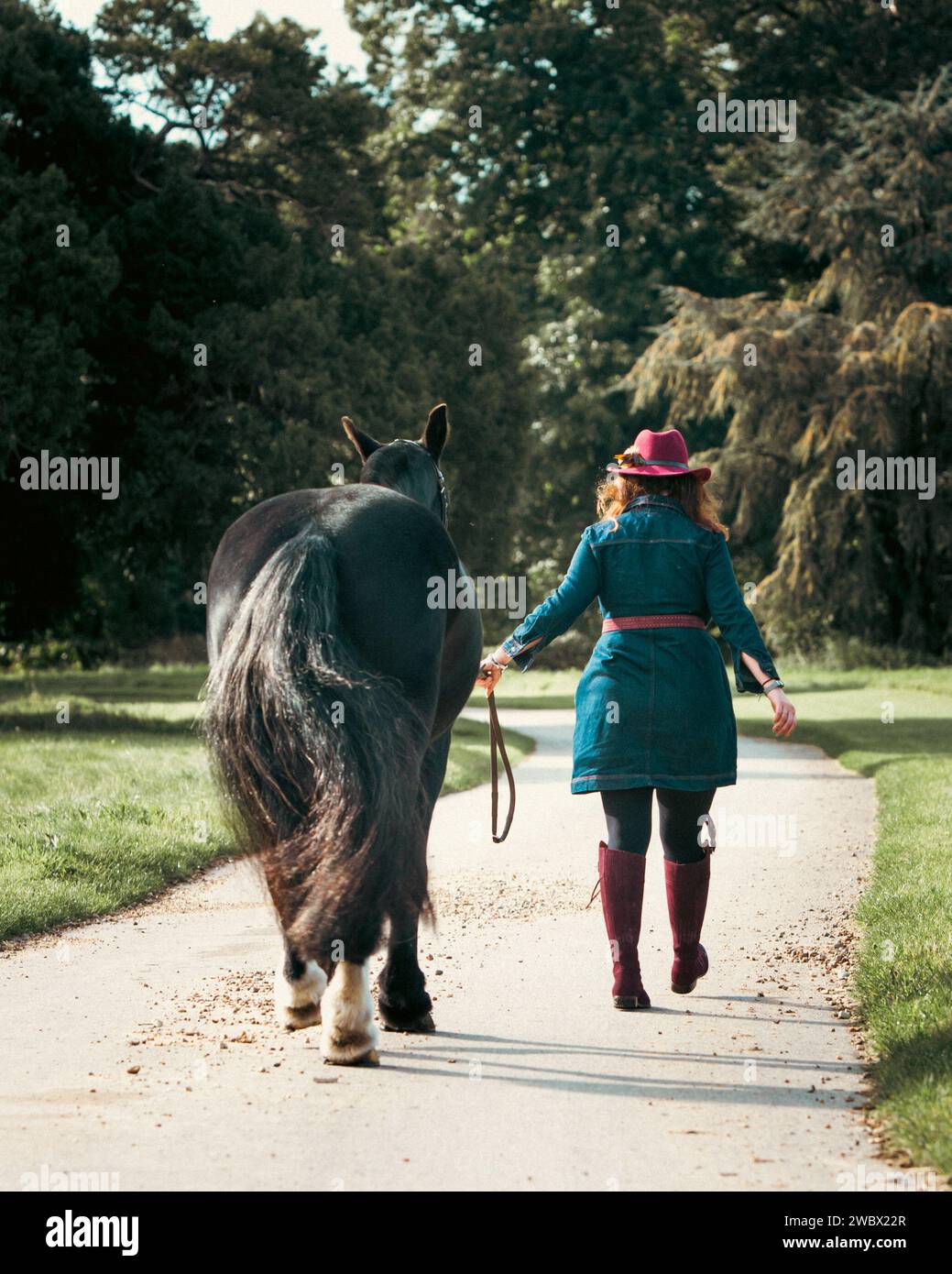 Pferd und Besitzer Stockfoto