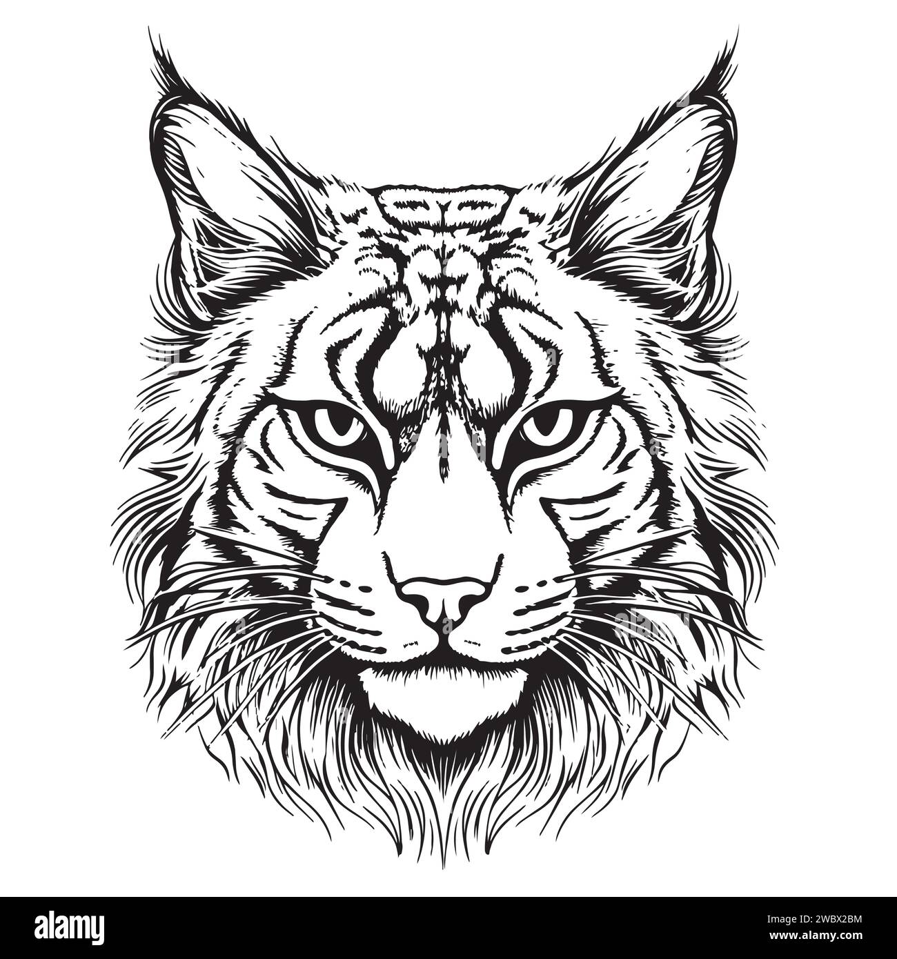 Junger Löwenkopf handgezeichnete Zeichnung Illustration, wilde Tiere Stock Vektor