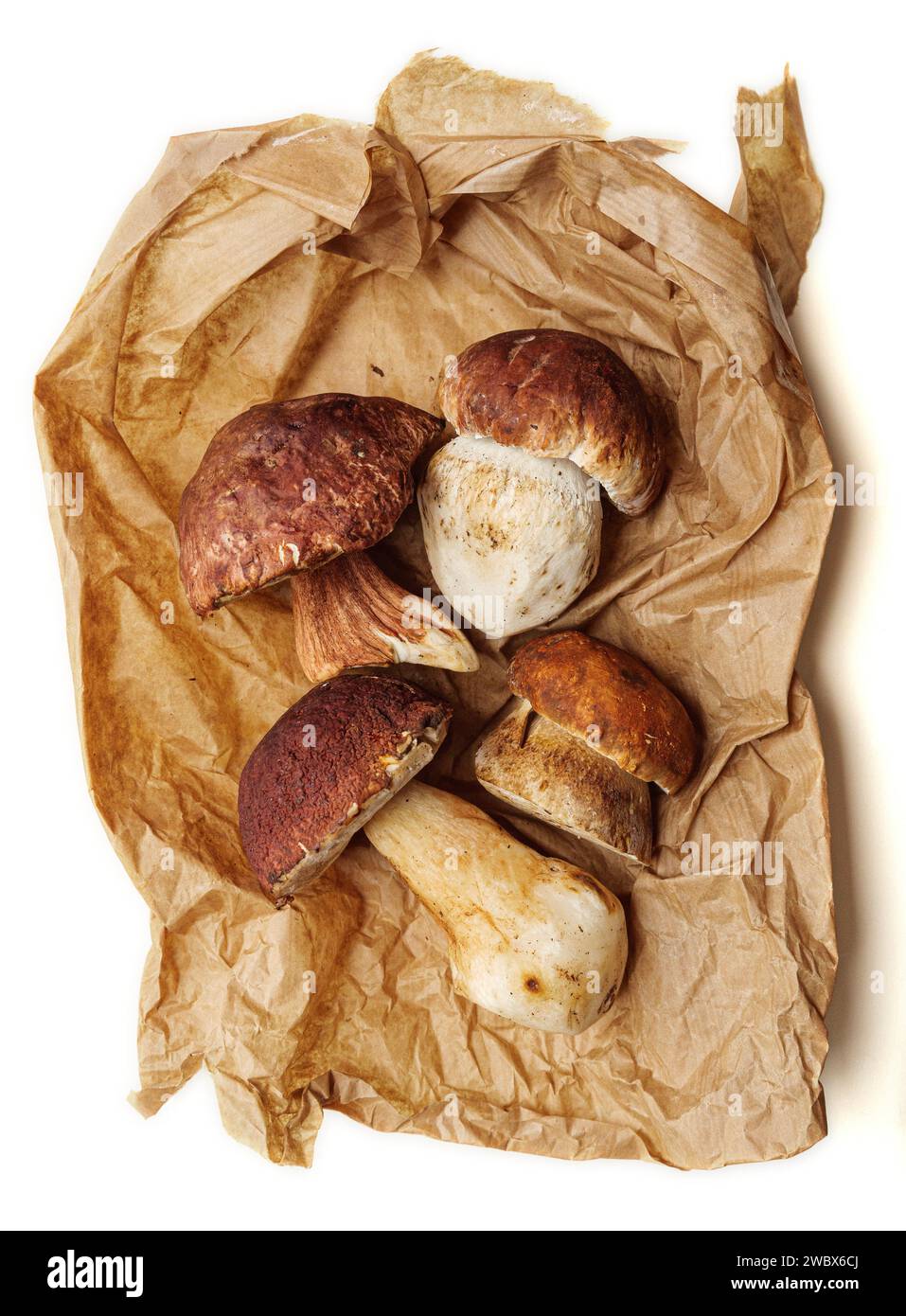 Eine Auswahl verschiedener Arten von Boletuspilzen auf einer Papiertüte. Stockfoto