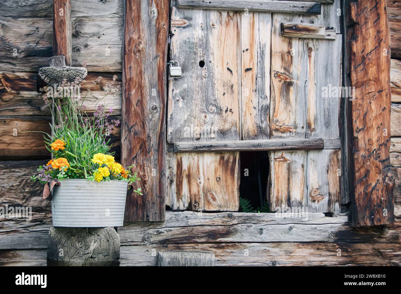 Rustikale Holztür in einer verwitterten Holzscheune (Schweiz) Stockfoto