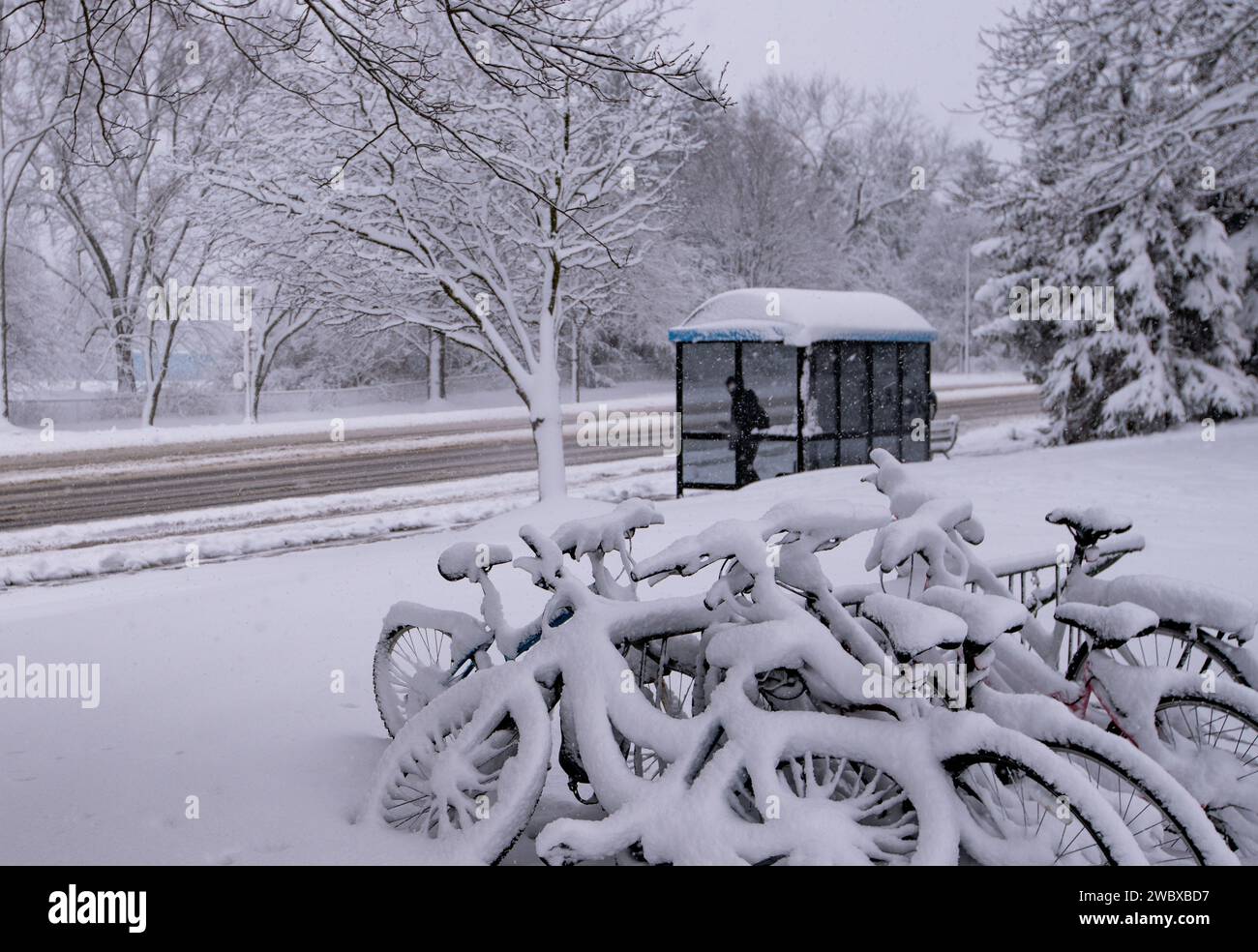 Winterszene mit Fahrrädern, die von einer Schneedecke bedeckt sind und in der Nähe einer Bushaltestelle ruhen Stockfoto