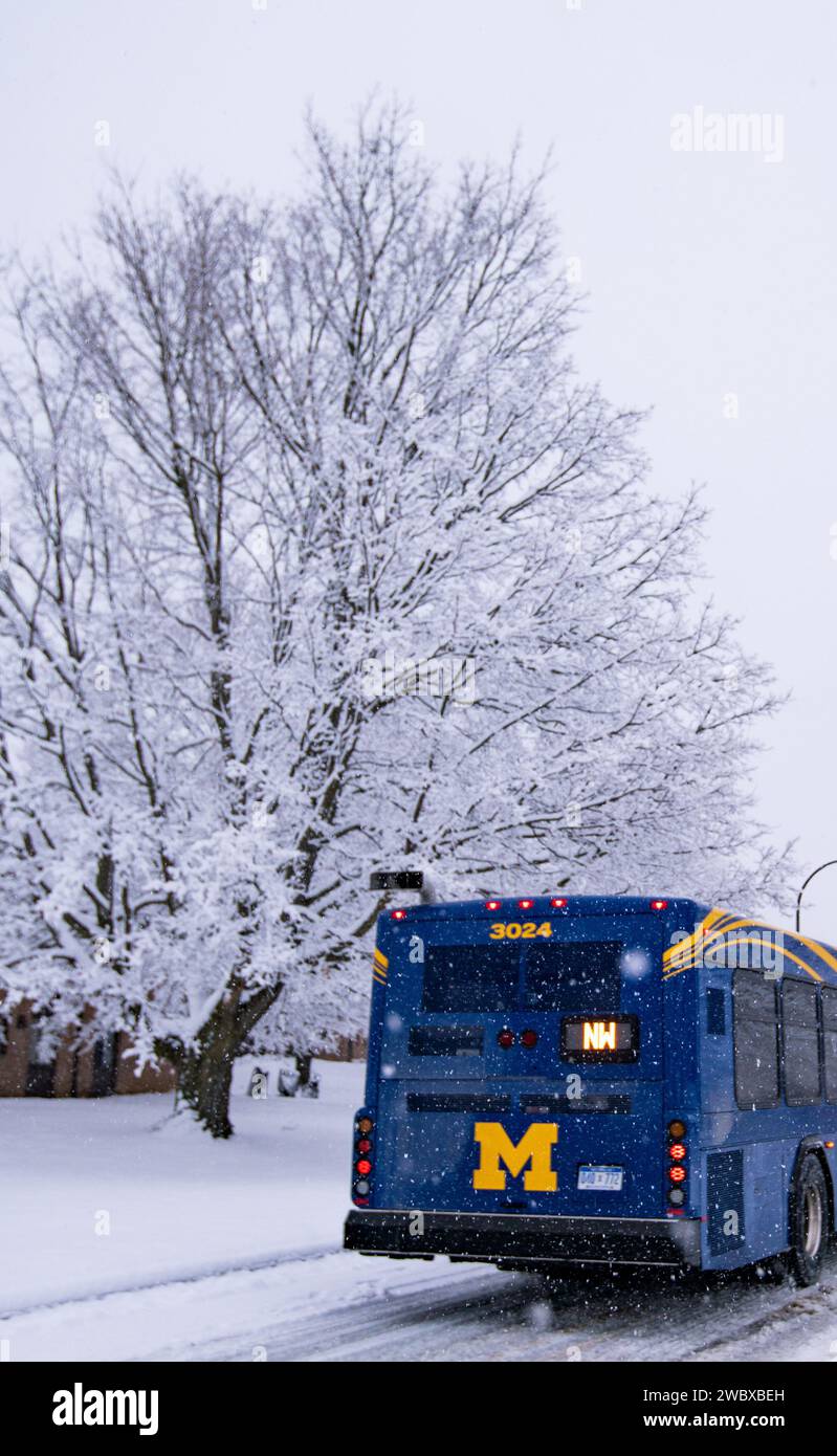 Ein lebhafter blauer Bus gleitet mühelos über eine winterliche Straße, die mit einer unberührten Schneedecke geschmückt ist, begleitet von majestätischen Bäumen Stockfoto