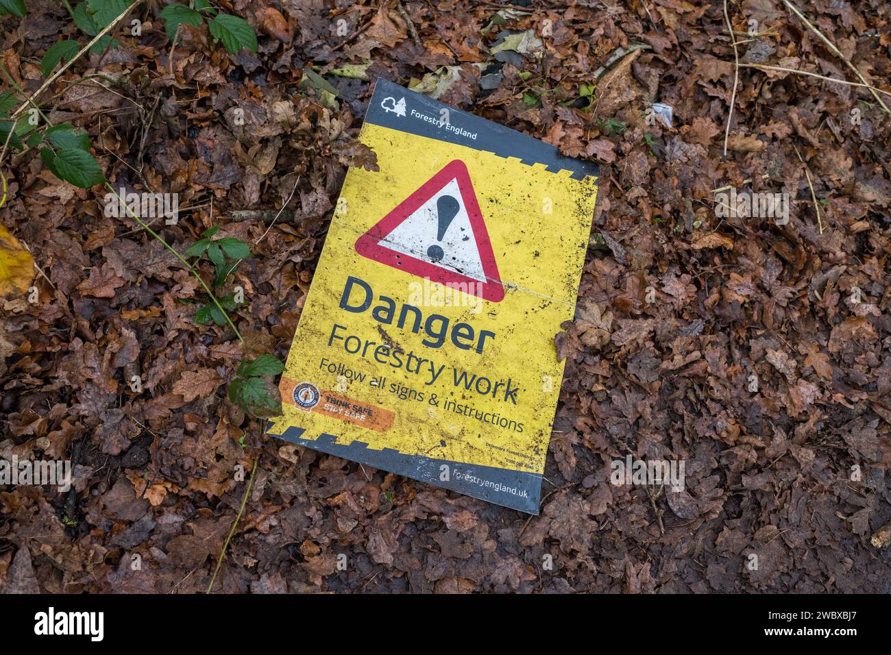 Verworfenes Forst Commission Health and Safety Zeichen Stockfoto
