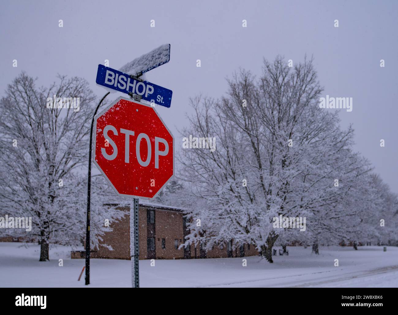 Ein klassisches rotes Stoppschild steht hoch vor einem ruhigen Hintergrund mit schneebedeckten weißen Bäumen Stockfoto