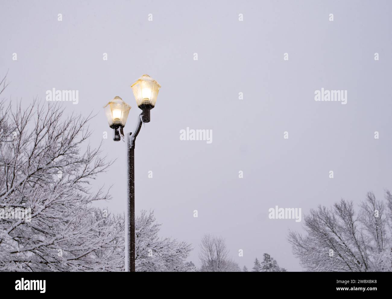 Zwei Lampen stehen hoch in der Mitte eines ruhigen Winterparks, der von einer dicken Schneedecke bedeckt ist Stockfoto