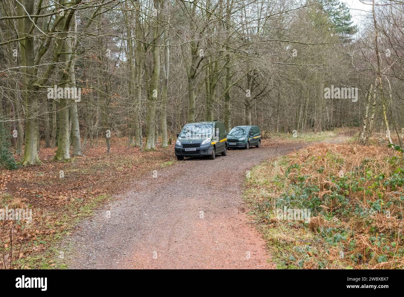 Zwei Fahrzeuge der forstverwaltung parkten auf einem Waldweg. Stockfoto