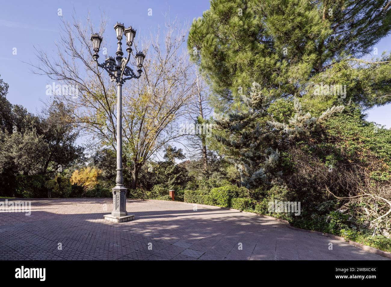 Eine Straßenlaterne aus Metall im alten Stil mit fünf Straßenlaternen auf einem Gehweg mit Bäumen am Rand Stockfoto