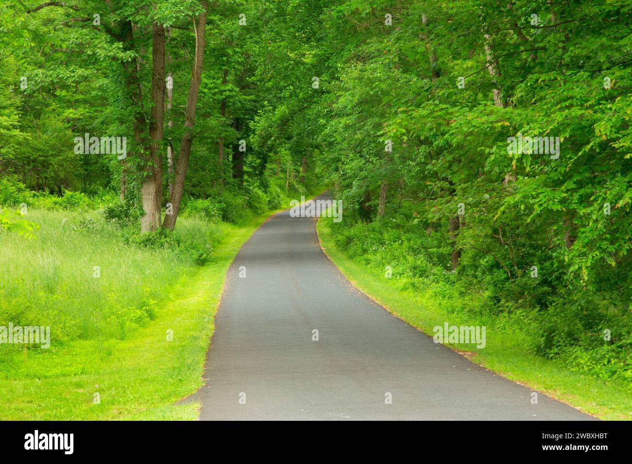 Tour Road, Morristown National Historic Park, New Jersey Stockfoto
