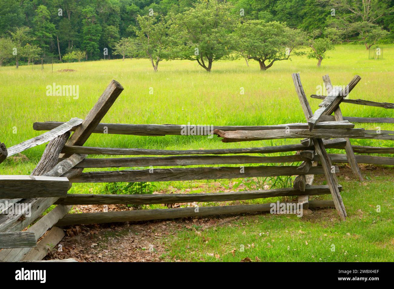 Fenceline auf der Wick Farm, Morristown National Historic Park, New Jersey Stockfoto