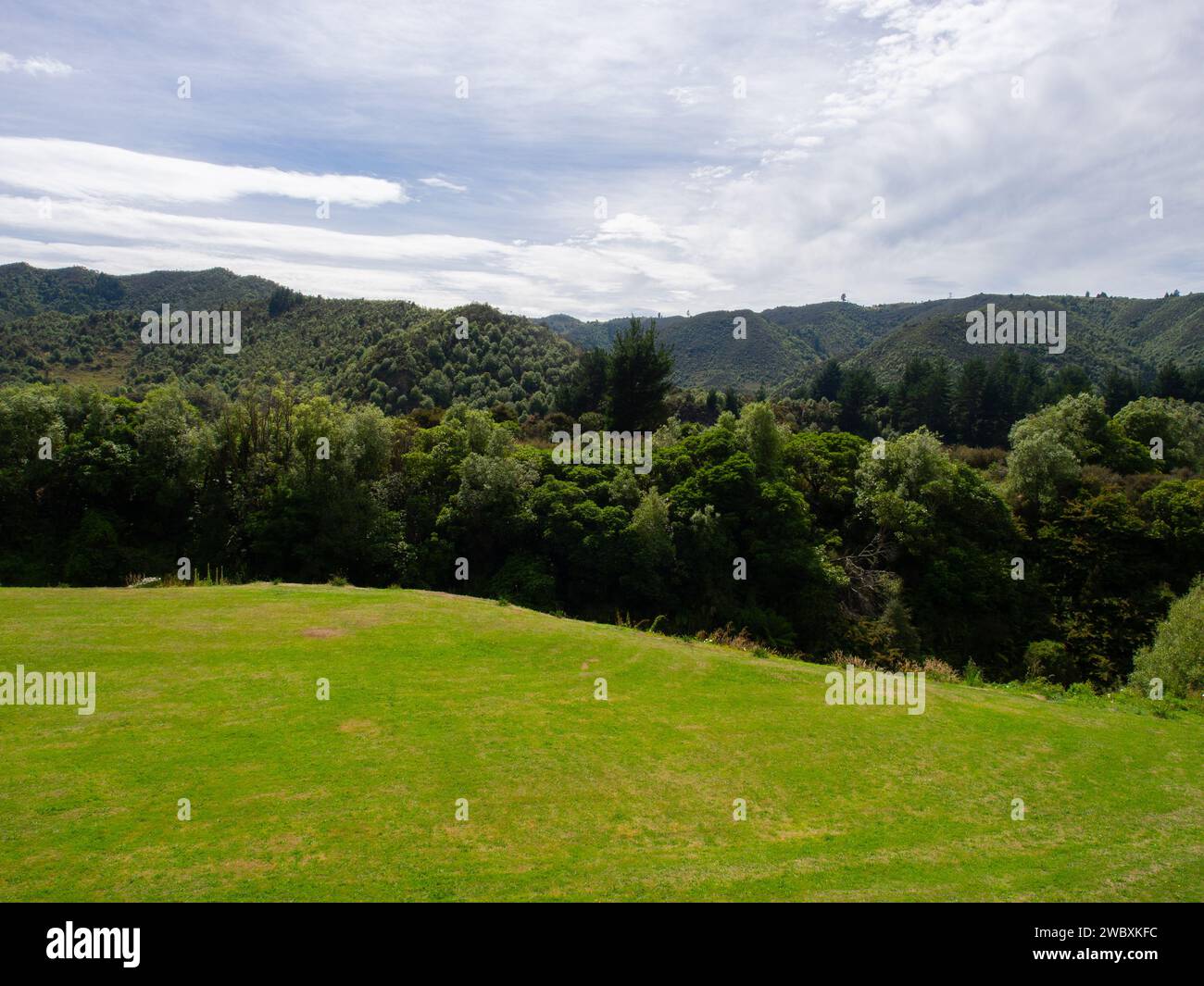 Grünes Gras und Hügel Landschaft Stockfoto