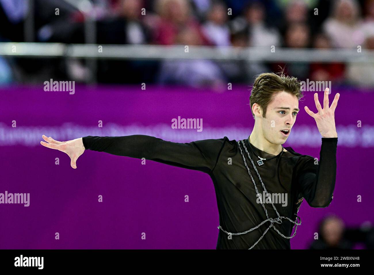 Aleksandr SELEVKO (EST), während des FreilaufSkatings der Männer, bei