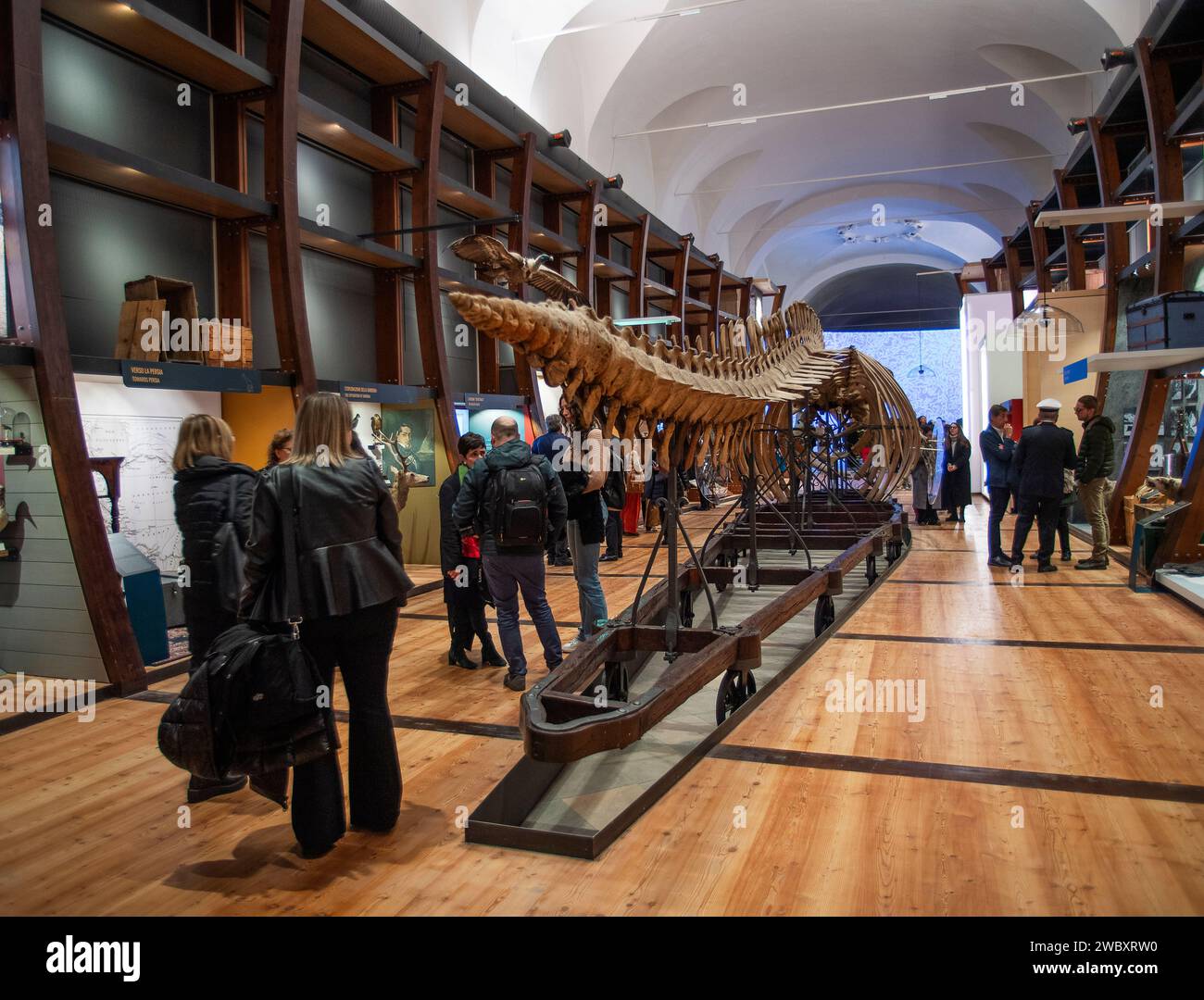 Italien Piemont Turin das regionale Museum der Naturwissenschaften - Credit: Realy Easy Star/Alamy Live News Stockfoto