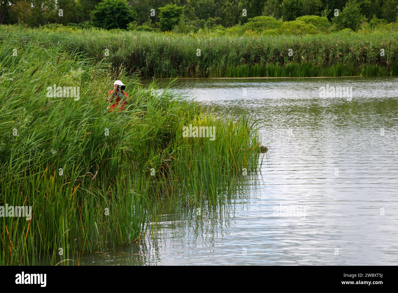 Professioneller Naturfotograf, der Fotos mit Kamera in der Natur macht Stockfoto