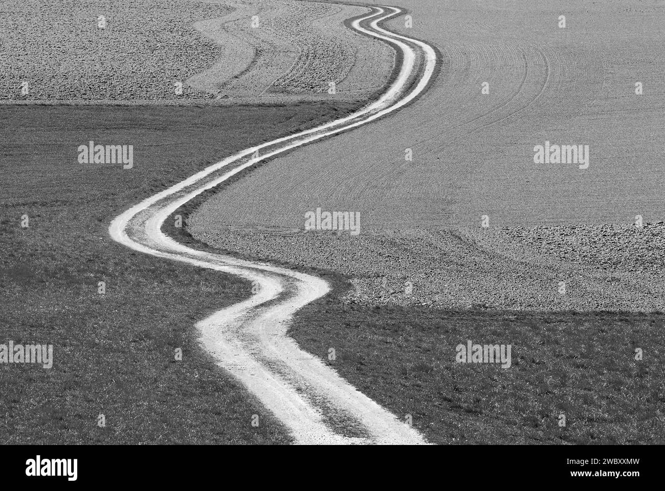 Ein langer gekrümmter Feldweg oder -Weg, inmitten von Feldern und Wiesen, schwarz-weiß, bei Ebersberg, Bayern, Deutschland, Europa Stockfoto