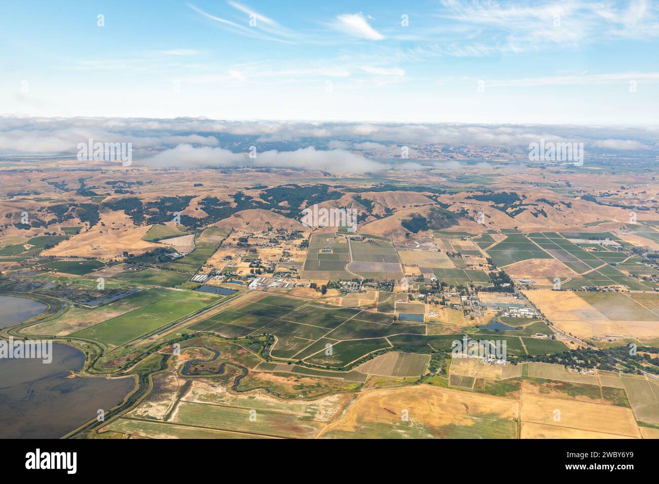 Aus der Vogelperspektive sehen Sie grüne Pflanzenreihen auf Feldern, Weinbergen und den landwirtschaftlichen Städten im Norden Kaliforniens Stockfoto