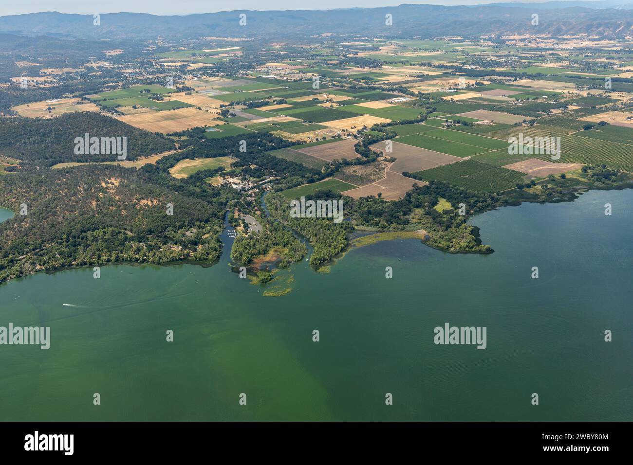 Luftaufnahme des verschmutzten Grünwassers von Clear Lake und die Umweltauswirkungen des landwirtschaftlichen Abflusses, der Algenblüten verursacht Stockfoto