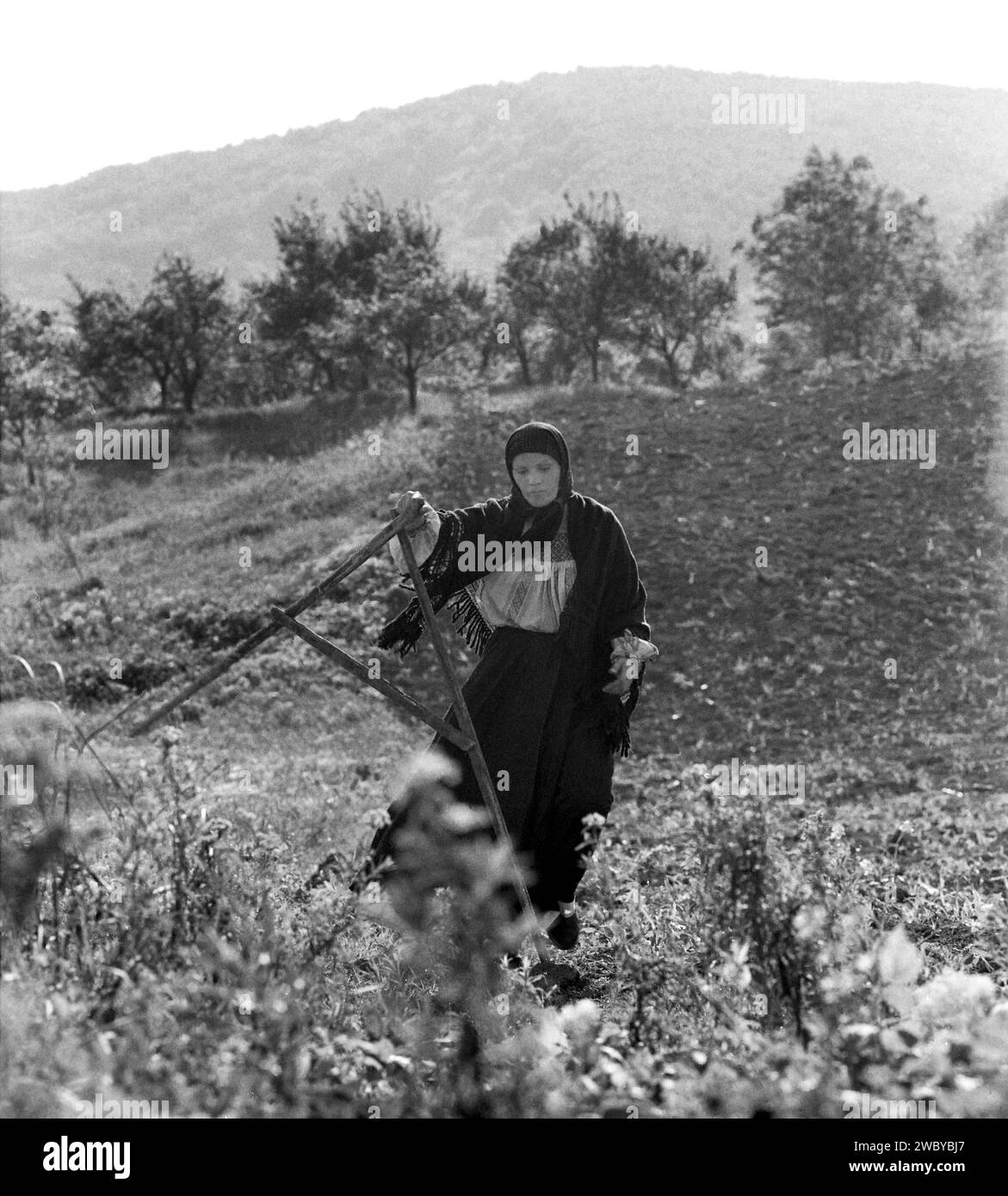 Rumänischer Bauer misst das Land mit einem alten Holzkompass Stockfoto