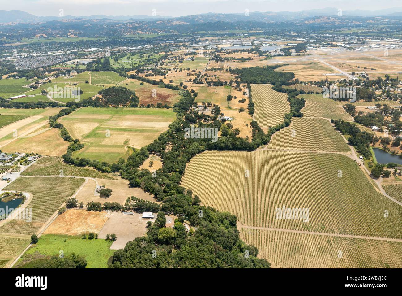 Aus der Vogelperspektive sehen Sie grüne Pflanzenreihen auf Feldern, Weinbergen und den landwirtschaftlichen Städten im Norden Kaliforniens Stockfoto