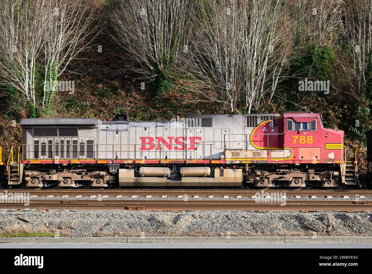 Everett, WA, USA - 3. Januar 2024; BNSF-Lokomotive 788 in traditioneller Wabenlackierung Stockfoto