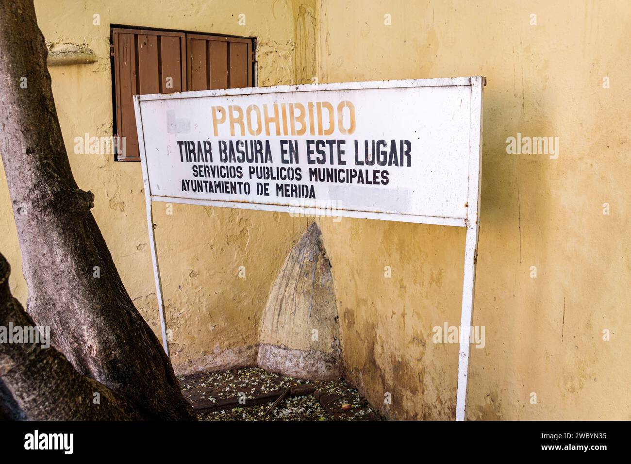 Merida Mexico, Centro Historico Central Historico, zentrales historisches Viertel, das Werfen von Müll verboten, das Rathaus-Schild für öffentliche Dienste warnt Stockfoto