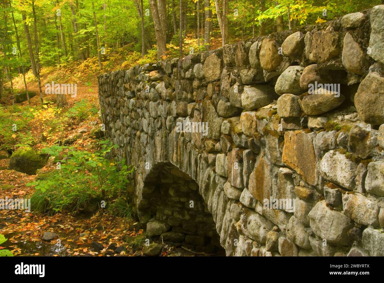 Steinbaubrücke, Camp Santanoni State Historic Area, Adirondack Forest Preserve, New York Stockfoto