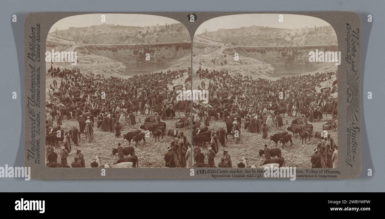 Veemarkt im Hinnom-Tal, bei Jerusalem, Anonym, 1900 – 1905 Stereografie Dal van Hinnompublisher: New York (Stadt) (möglicherweise) Karton. baryta Papierrinder. Market, den er van Hinn gab Stockfoto