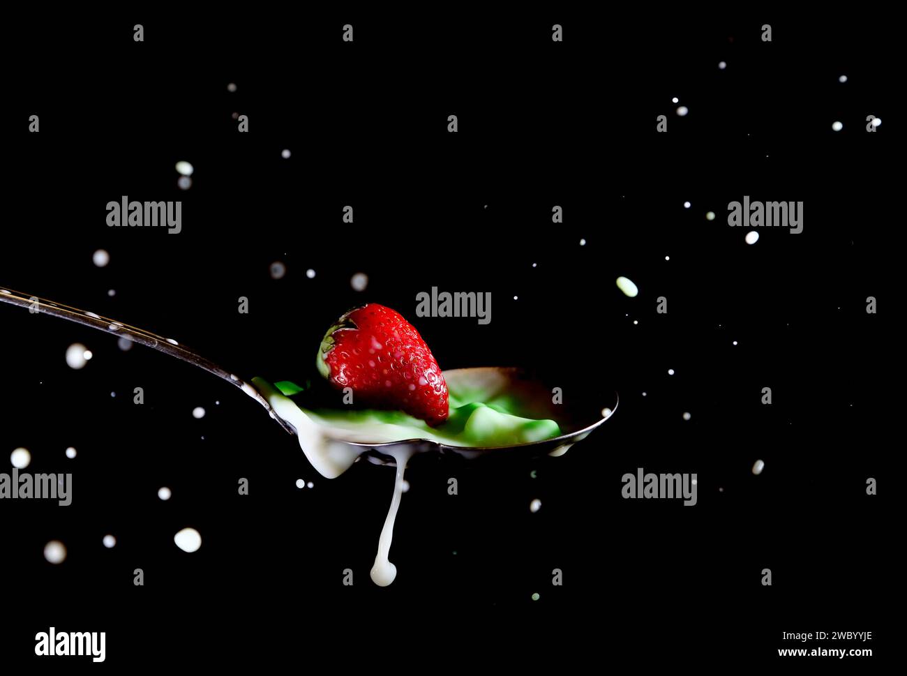 Erdbeere, die in einem Löffel in eine milchige grüne Flüssigkeit spritzt Stockfoto