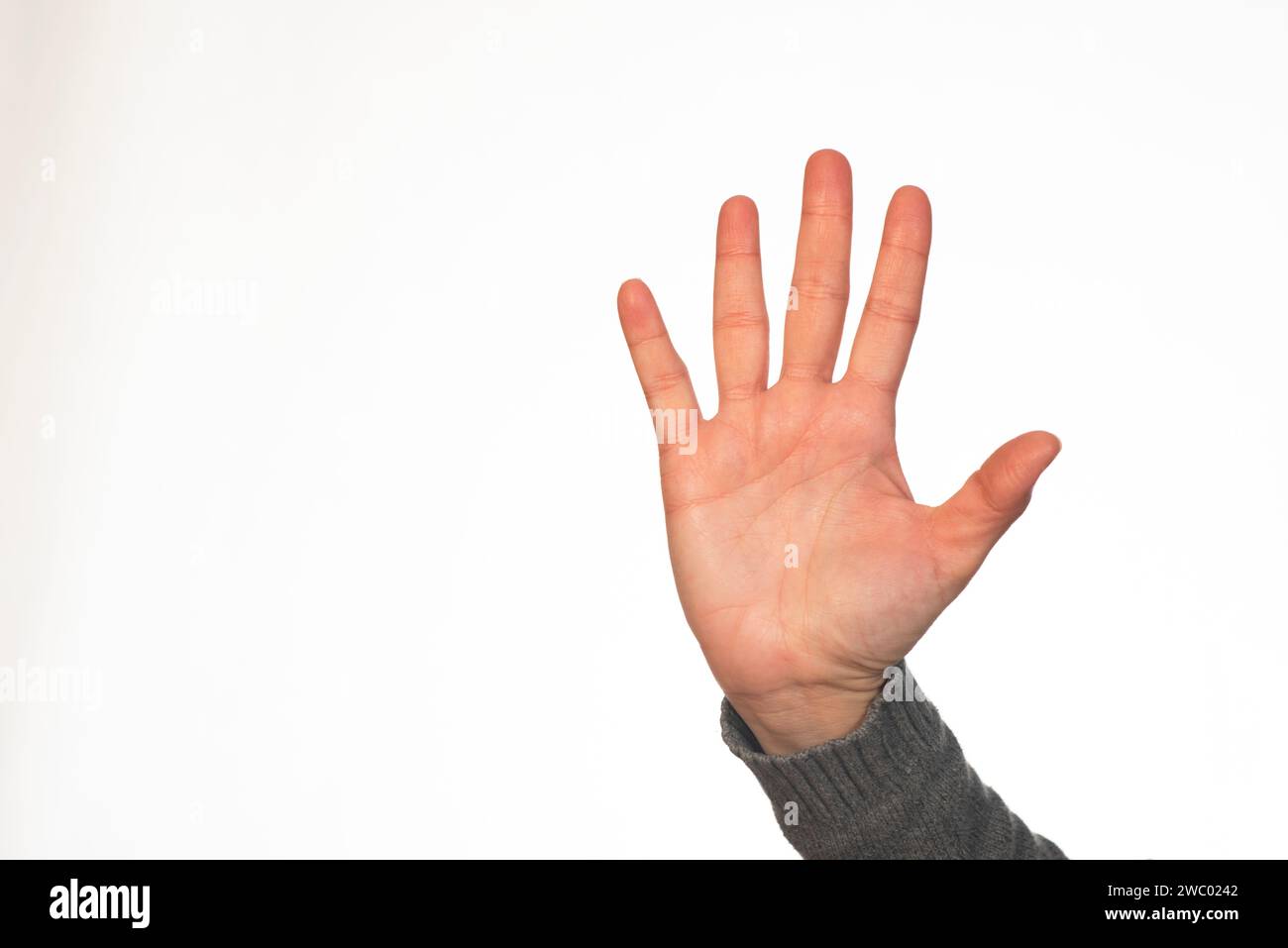 Frau Hand Hand Palme aginst weiß Hintergrund Stockfoto
