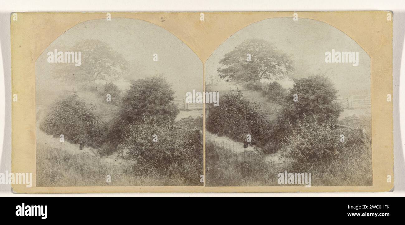 Prestbury Park in der Nähe von Cheltenham, England, Baynham Jones, 1860 Stereograph Cheltenham Karton. Papieralbumen-Druckpark Cheltenham Stockfoto