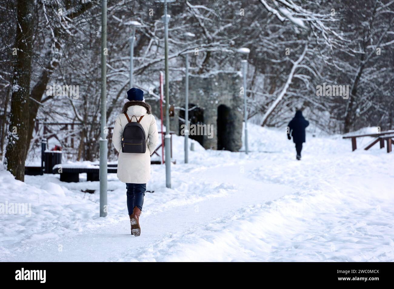 Einsames Mädchen in warmer Jacke und Stiefeln, die im Winterpark spazieren gehen. Kaltes Wetter, malerischer Blick auf schneebedeckte Bäume und gefrorenen See Stockfoto