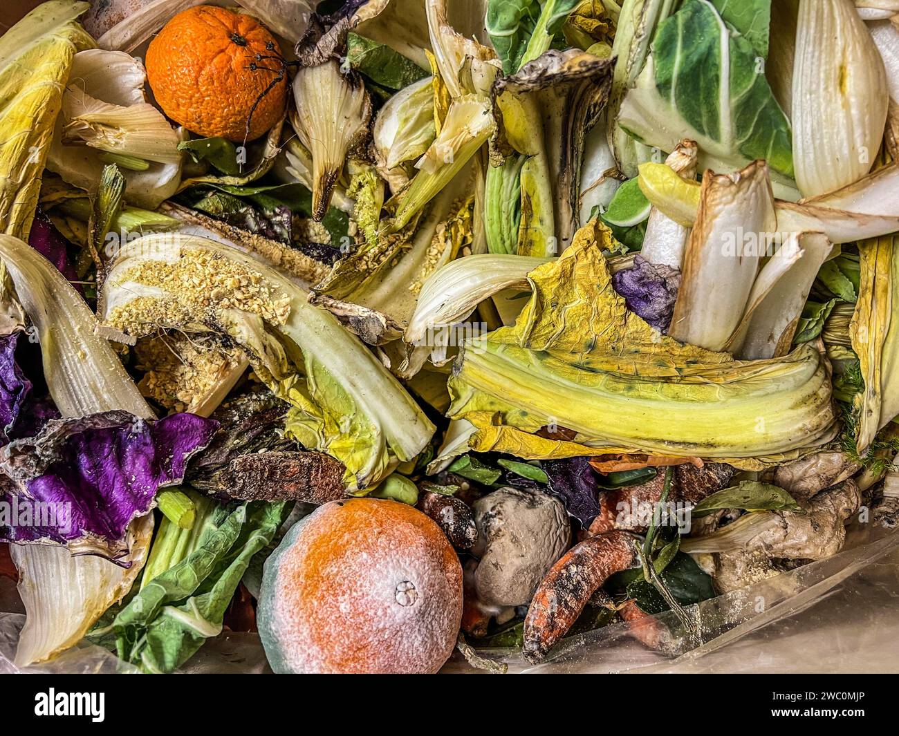 Grüner und gelber Hintergrund vieler verrottender Früchte und Gemüsesorten Stockfoto