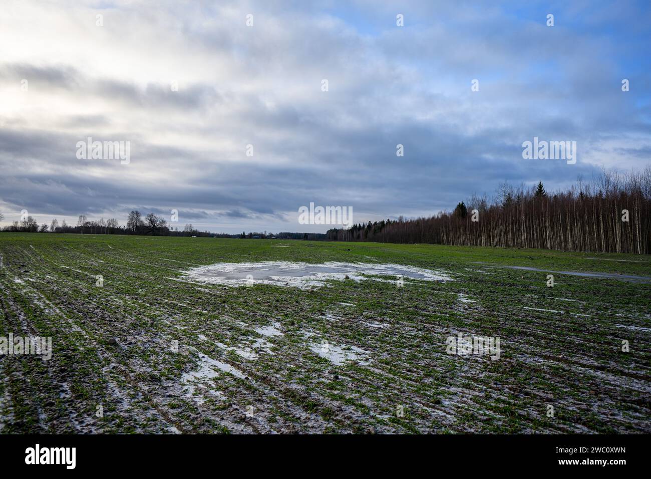 Gefrorene Landwirtschaftsfelder im Winter mit Schnee und kaltem Wasser Stockfoto