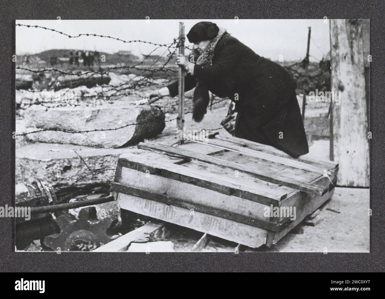 Königin Wilhelmina liest in ihrem Büro in London ein niederländisches Widerstandsmagazin, 1945 Fotografie Amsterdam fotografische Unterstützung Gelatine Silberdruck London Stockfoto