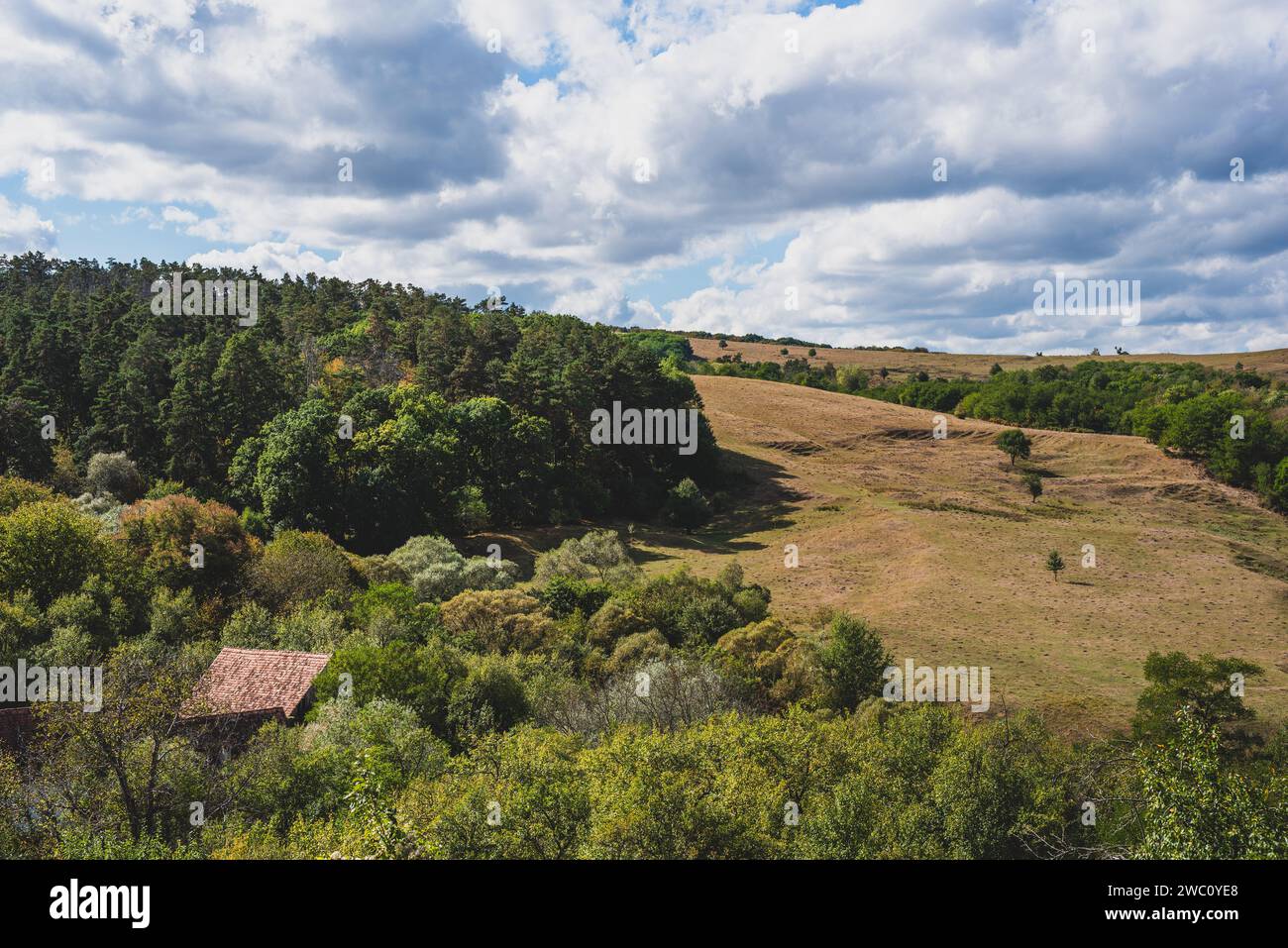 Eine malerische Landschaft mit üppigen grünen Bäumen und flauschigen weißen Wolken, die über ihnen schweben. Rumänien Stockfoto