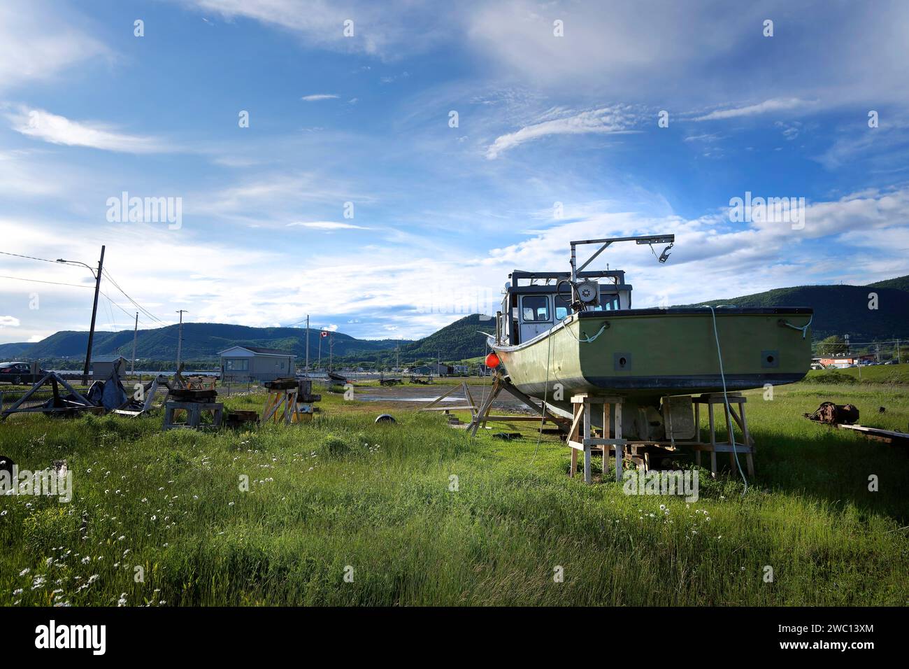 bateau de pêche vert en Cale sèche posé dans l'herbe Stockfoto