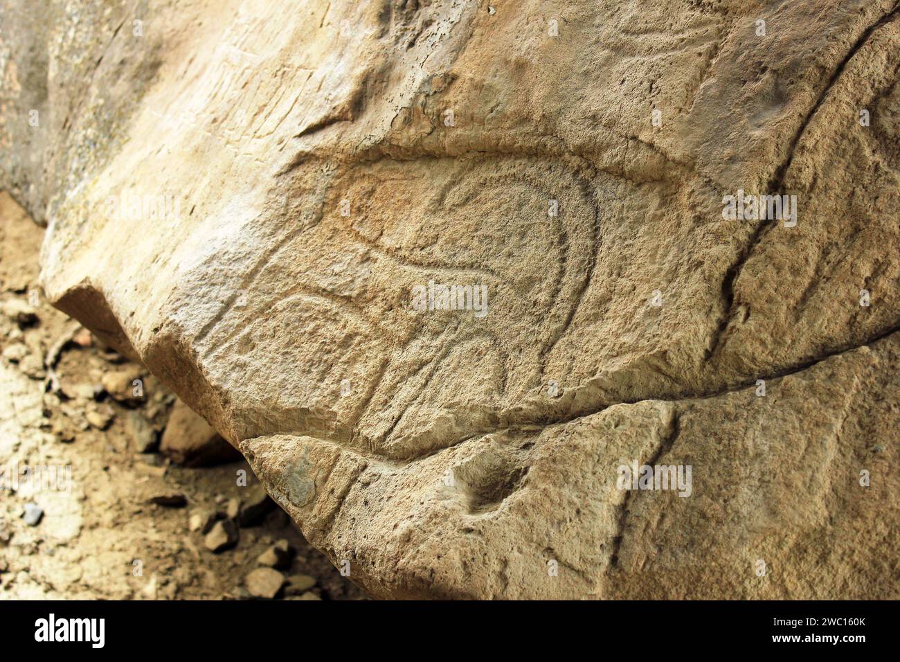 Aserbaidschan. 05.15.2017 Antike Steinmalereien in der Region Gobustan. Stockfoto