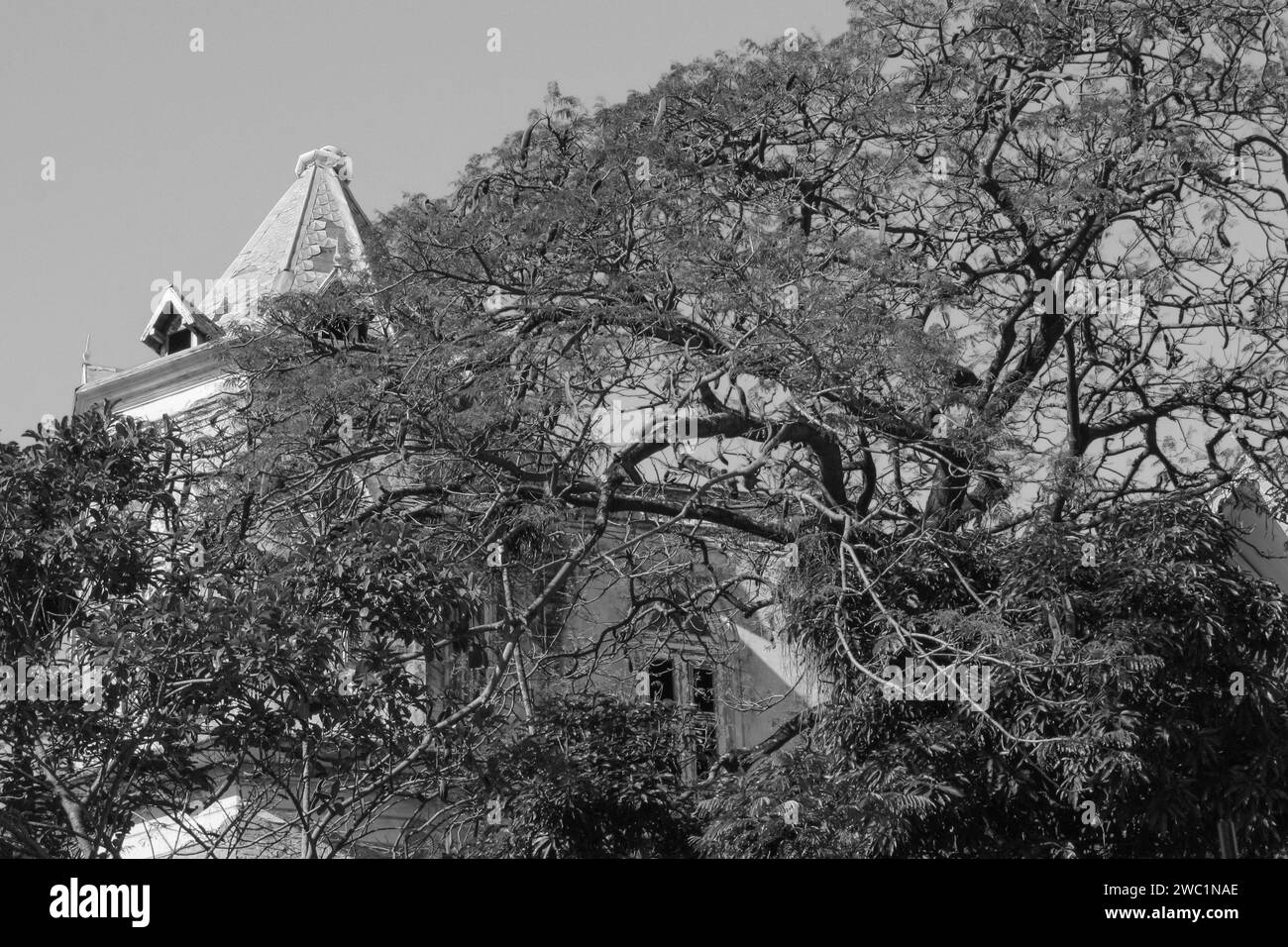 Paisagem em preto e branco SchwarzweißStockfotos