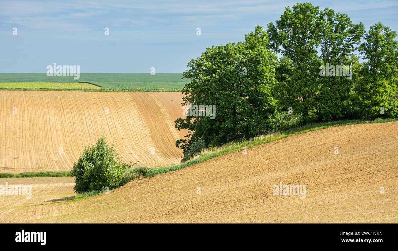 Ackerland in hügeligem Gelände, gepflügter brauner Boden Stockfoto