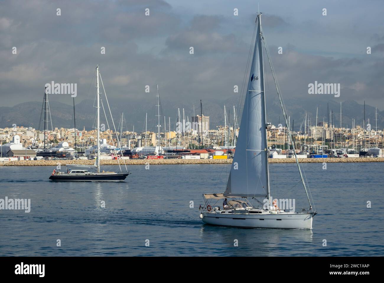 puerto de Palma, Mallorca, balearen, Spanien Stockfoto
